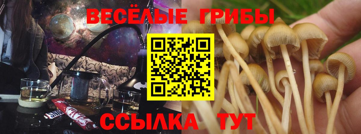 Галлюциногенные грибы прущие грибы  Вход с VPN  Кубинка 