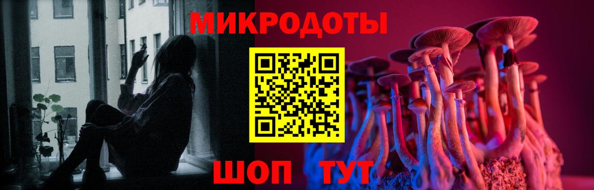 Псилоцибиновые грибы прущие грибы Кубинка