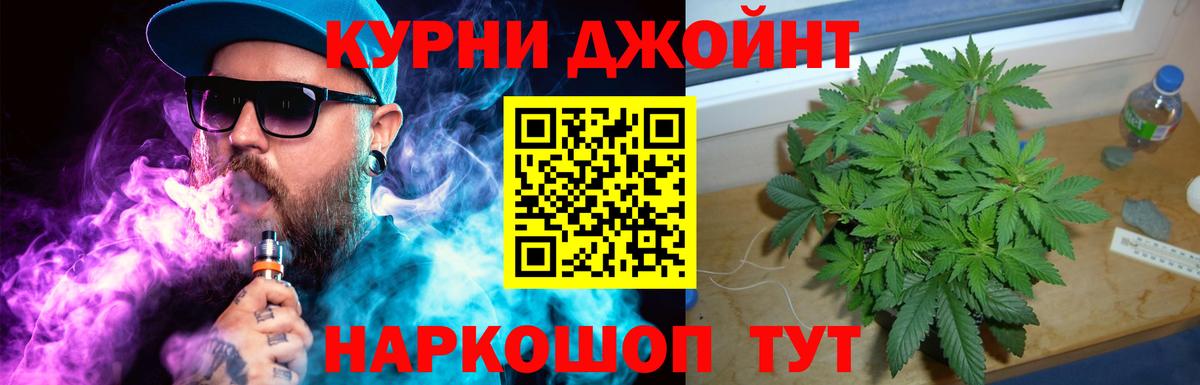 Бошки Шишки планчик Кубинка